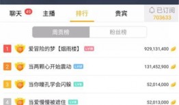 黑喵最新爆料网站在线观看,揭秘网站在线观看全攻略